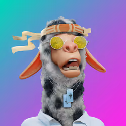 Laid Back Llama #4094
