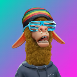 Laid Back Llama #1991