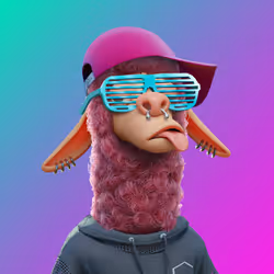 Laid Back Llama #2800