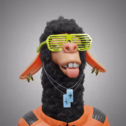 Laid Back Llama #2055