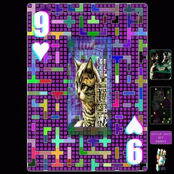 41