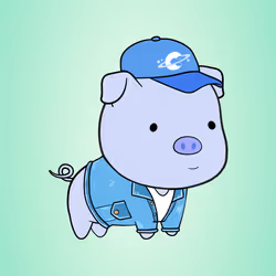 Chubbipig #2485