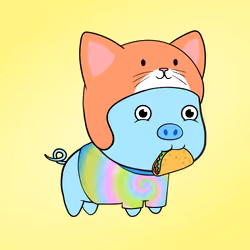 Chubbipig #5011