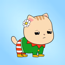 Chubbicat #5121