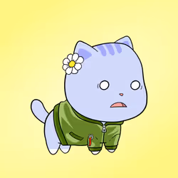 Chubbicat #4566