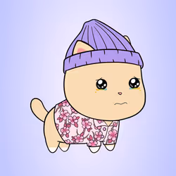 Chubbicat #1820