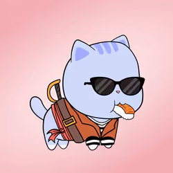 Chubbicat #579