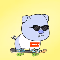 Chubbipig #8495