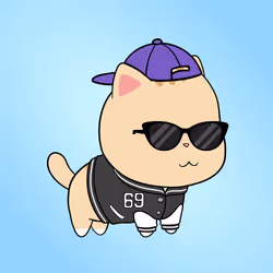 Chubbicat #7046