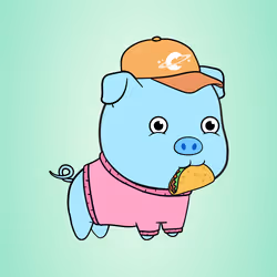 Chubbipig #5462