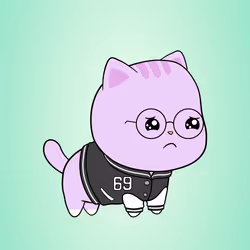 Chubbicat #3716