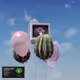 100500012