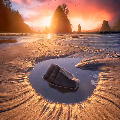 Dreamscapes in Motion