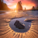 Dreamscapes in Motion