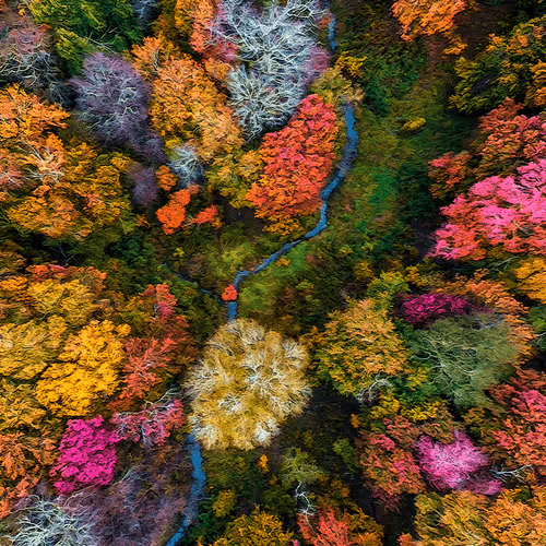 Hamptons Drone Art