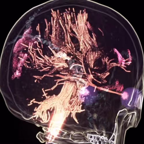 Creative Nature of Total Synthesis V2