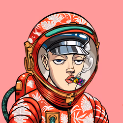 Space Punk #5503