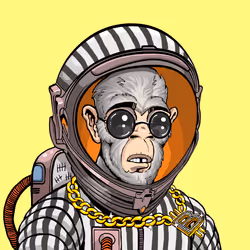 Space Punk #3370