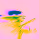 Electric Blossom X5