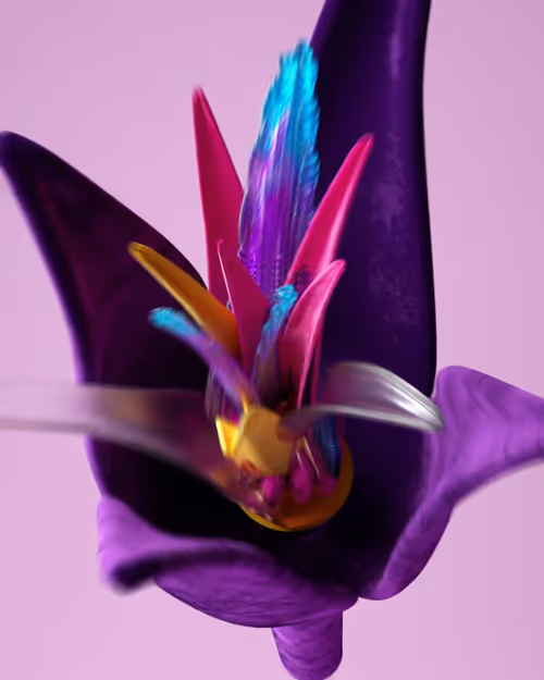 Item #34900010081 Media