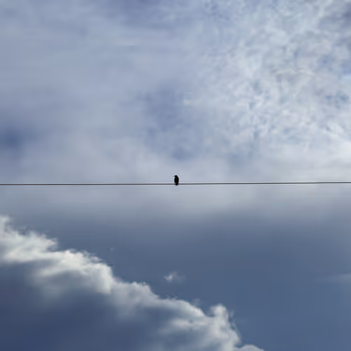 Aloft in Azure