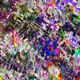 SONofCHAOS