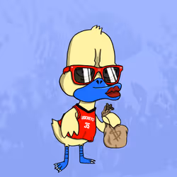 Duck #626