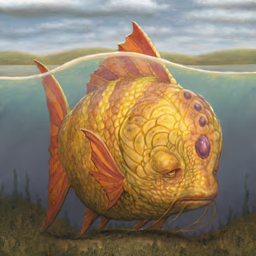 Melancholy Fish