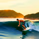 The New Surfer