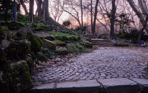 Item #105475816949175725597838668609224528502922702307421382918206128484721729994753 Media