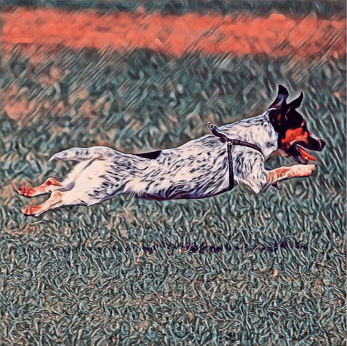 Item #51313302132644519913343847646347811445510524411913136629935893353515171446785 Media