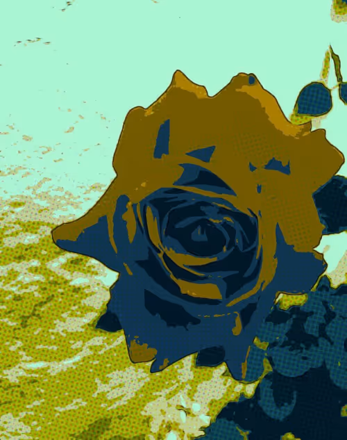 Item #7163017682800819022500116632954372564171361246090735806536608416203611832321 Media