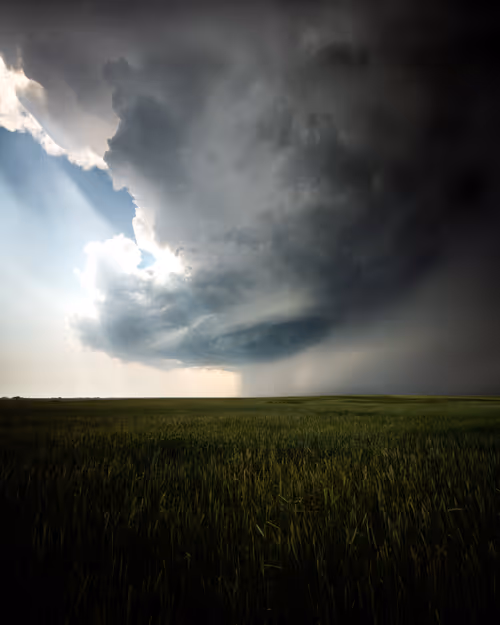 Item #36388733735061083786475834014155955711748965200924391160511104845028435951617 Media