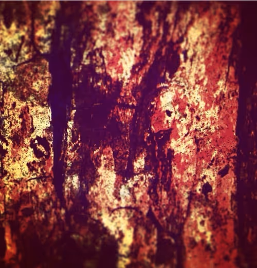 Item #75161883085366100123449825660460491796421375426446498585875262836765332865025 Media