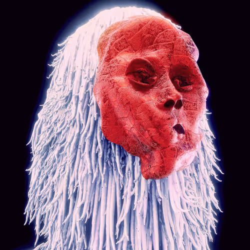 34875645692783183274447636286790621008624877402008311698194751013350581207041