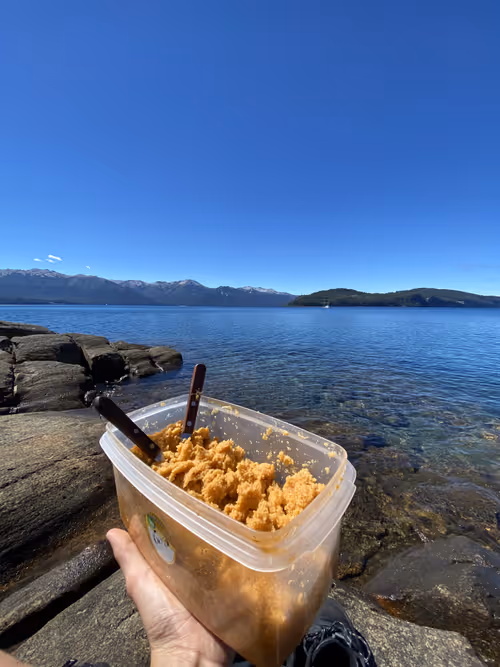 Item #59523051388572428041164192842493960245796907557797743474107445828750864809985 Media