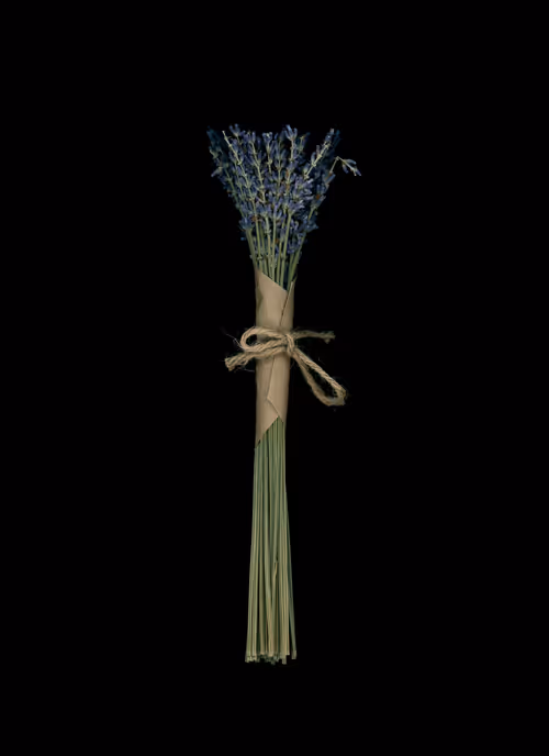 Item #58883327943218482885511625451962166109229848641575055586606686586141369434113 Media