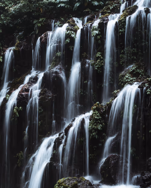 Item #86385672013831146465548650078662187187055141490040132723525304220445812195329 Media