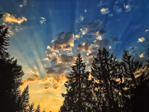 Item #54622431520615473389070195049435974225747667670160266129146791732525714636801 Media