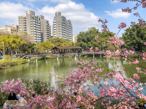 Item #100744422725674417057824683306763013505668843176654858816283483935131048083457 Media