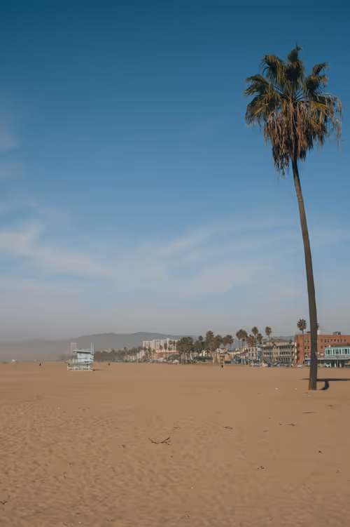 Item #35557780727049604459658880725917592814256363748111026780455796789289940942849 Media