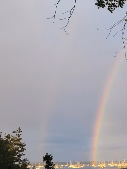 Item #4583203688154496710464576617550160289260541301864270714739251218645031845889 Media