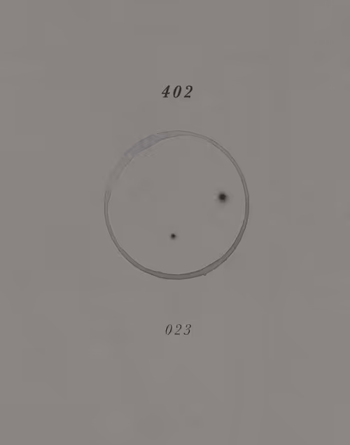 Item #110683211875433478720607093803783376166773559488403467374692104371409113841665 Media