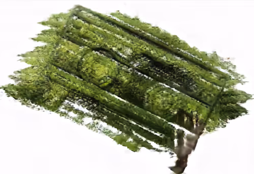 Item #34571563386459127761261740546366153221129147098234432782485651000560728408065 Media