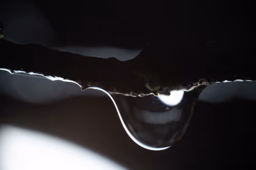 Item #59259199848972023857732761646304634361280699770576024418514166897072492511233 Media