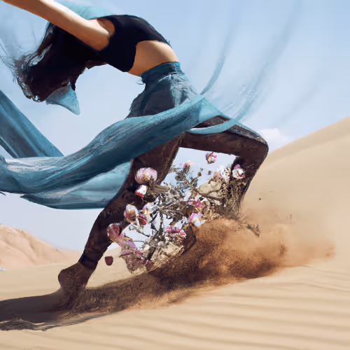 Item #46086343611545731993939719798163120067964747287164059061385651592953365266433 Media