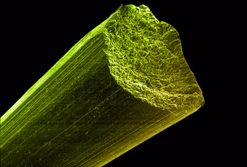 Item #115505927728344181025262329658899620468765138243295584093365708467169520517121 Media