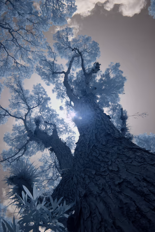 Item #84630877256389803822544637333020280854396826404545033634090050559741458907137 Media