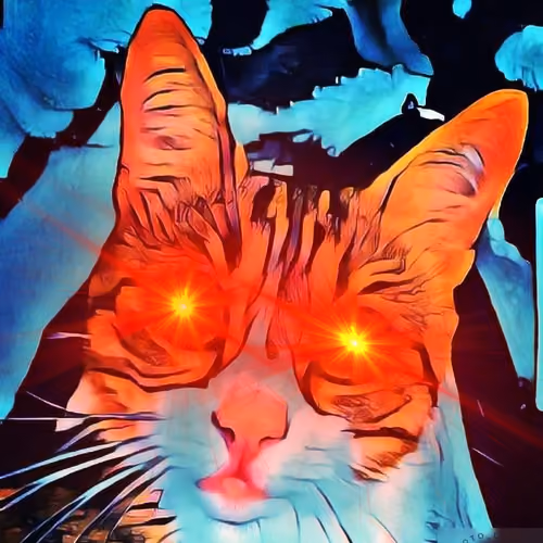 Omg the Cat