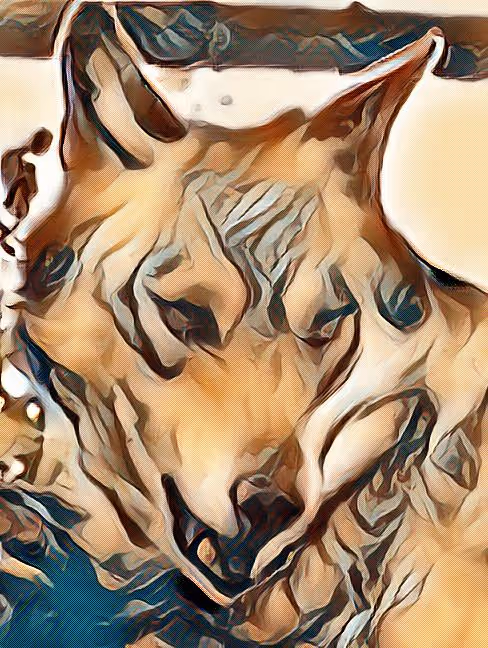 Item #22623297383426892917101335270761698949847758593200202890070986091745129791489 Media